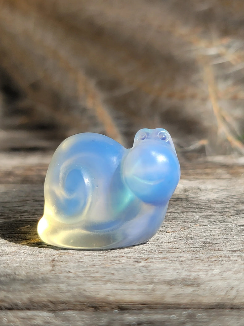 Opalite Snail