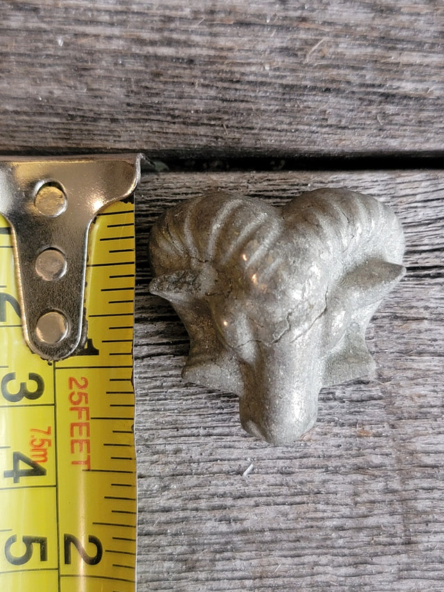 Pyrite Ram