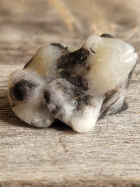 Banded Agate Frog