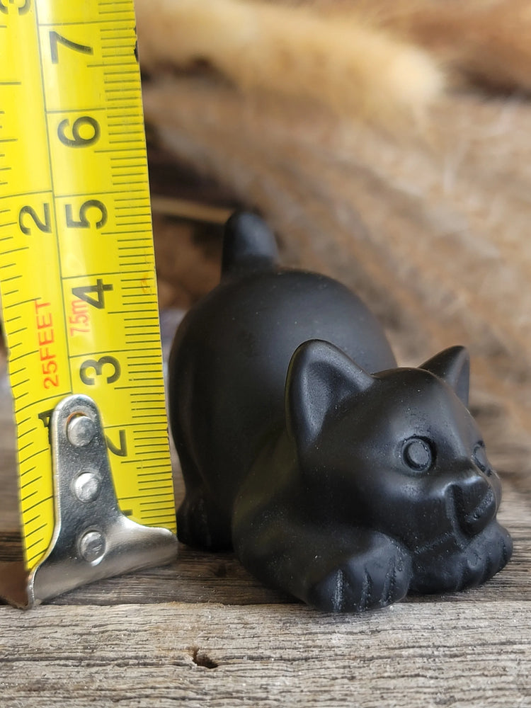 Obsidian Cat