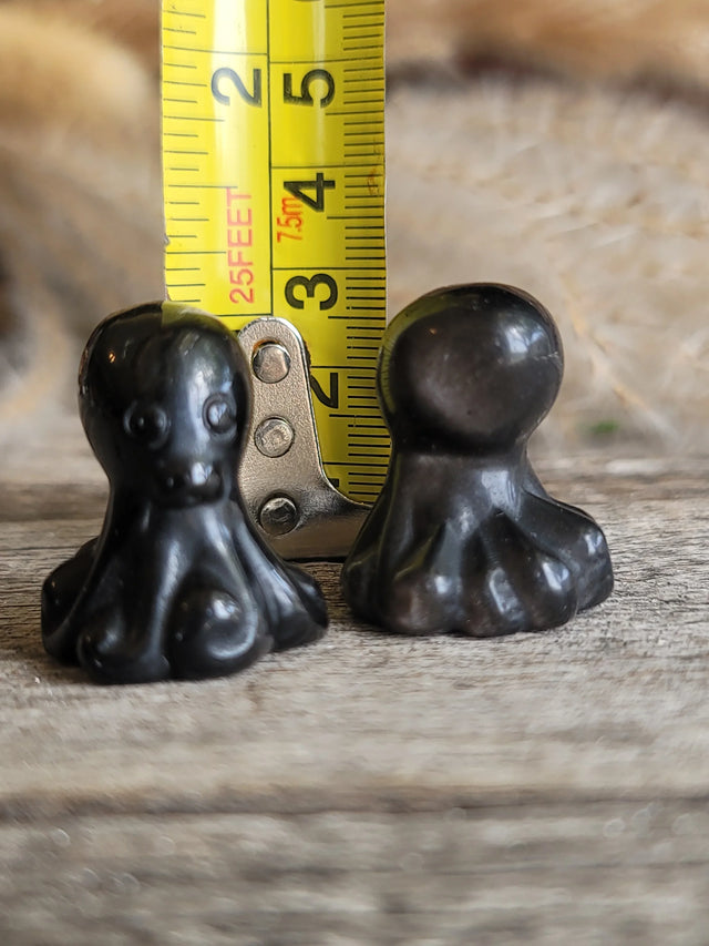 Obsidian Octopus