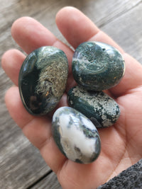 Moss Agate Tumbled