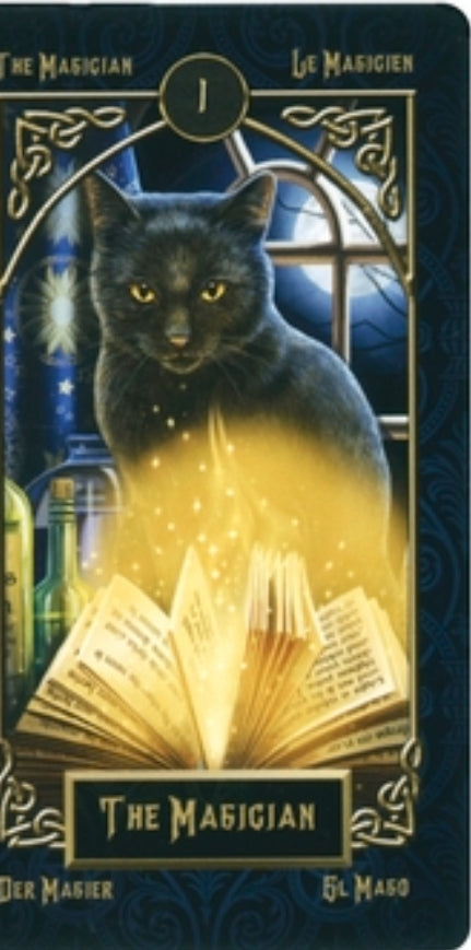 Tarot Familiars