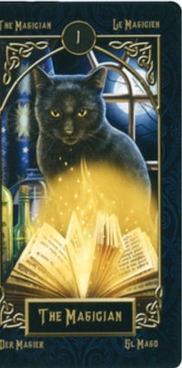 Tarot Familiars