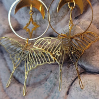 Rose Quartz Earrings - Wild Raven