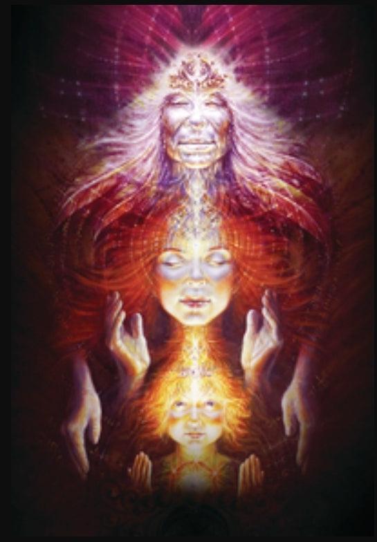 Sacred Rebels Oracle - Oracle Deck - Wild Raven