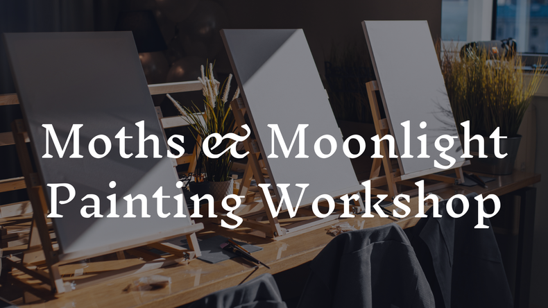 Moths & Moonlight Painting Workshop