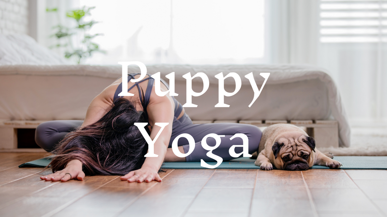 Puppy Yoga