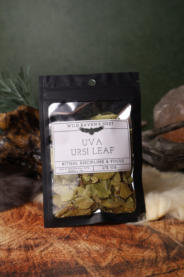 Uva Ursi Leaf dried herb in a 1/2 oz Wild Raven's Nest bag, Ritual Discipline & Focus