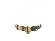 Wild Raven's Nest