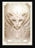 White Light Oracle - Oracle Deck - Wild Raven
