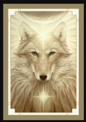 White Light Oracle - Oracle Deck - Wild Raven
