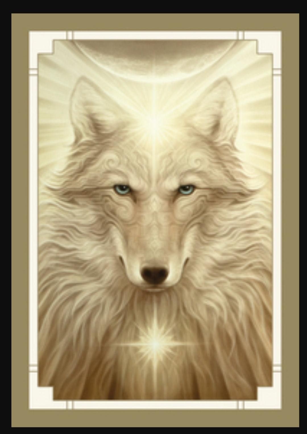 White Light Oracle - Oracle Deck - Wild Raven