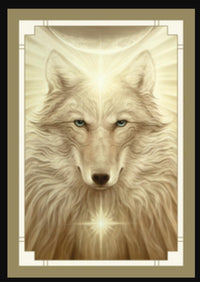 White Light Oracle - Oracle Deck - Wild Raven