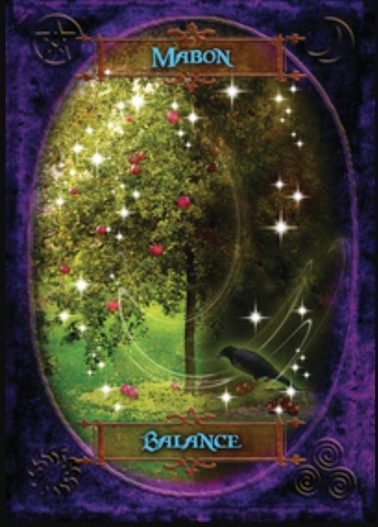 Witches Wisdom Oracle - Oracle Deck - Wild Raven