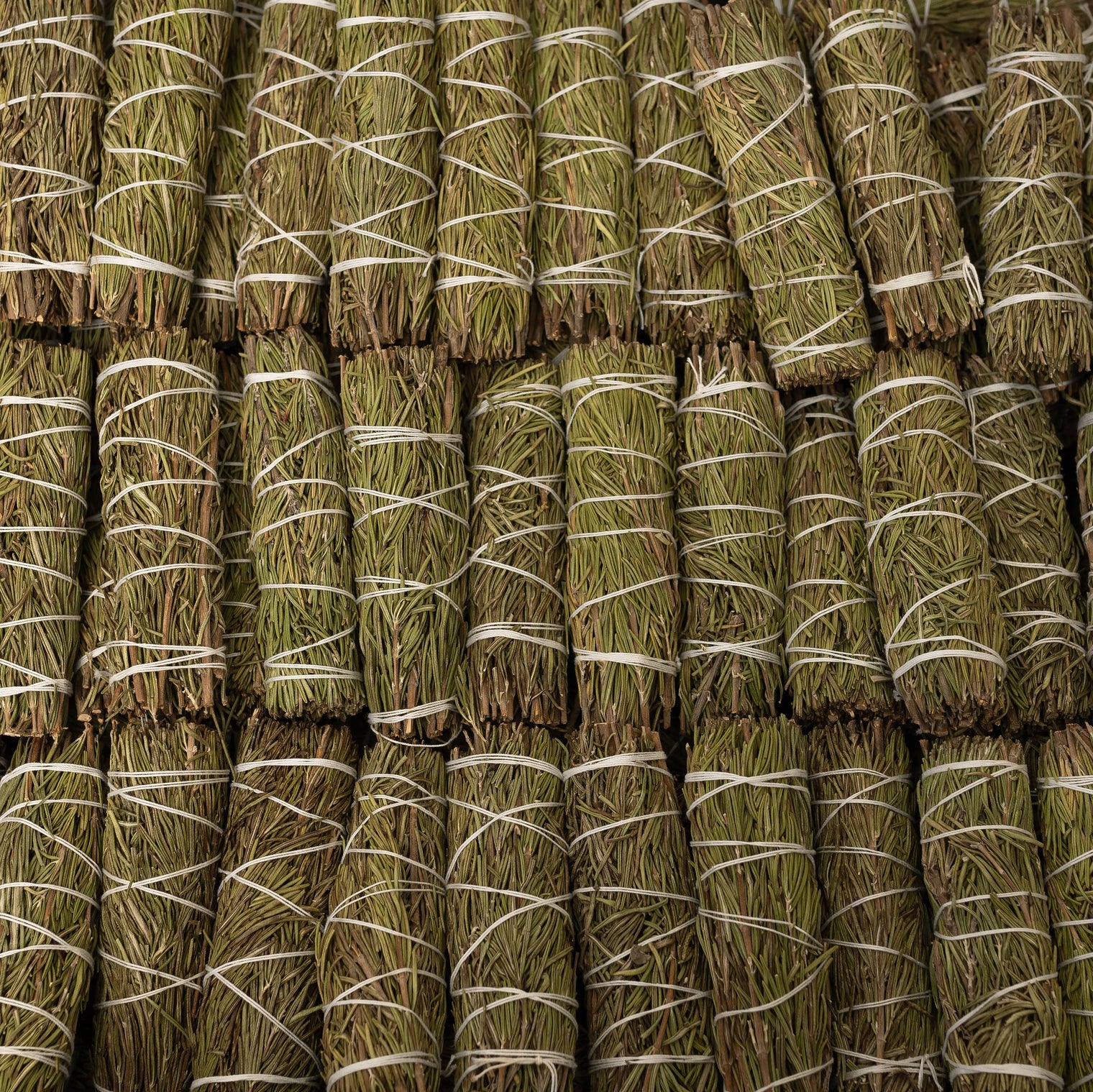 Rosemary Herb Wands 4"