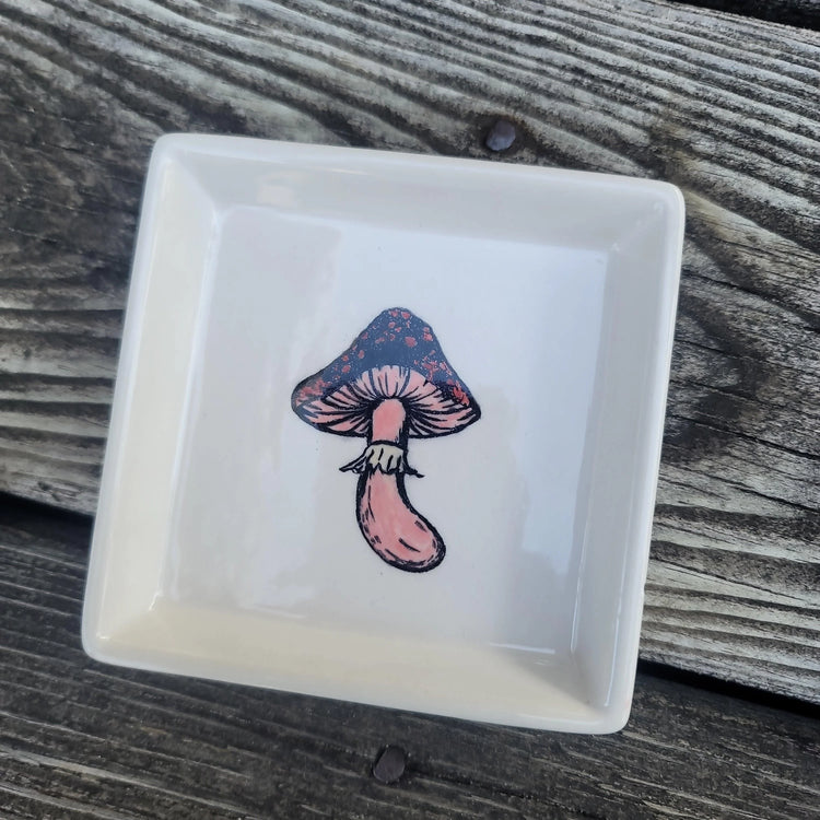 Handmade trinket dish - Wild Raven