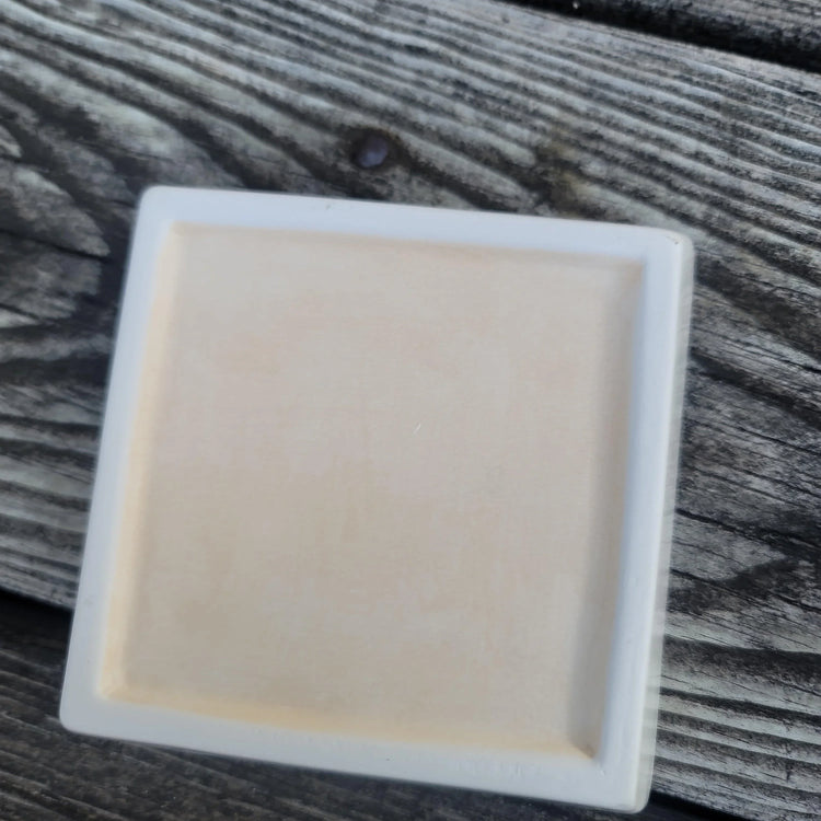 Handmade trinket dish - Wild Raven