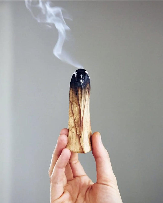Palo Santo 4" stick - Wild Raven